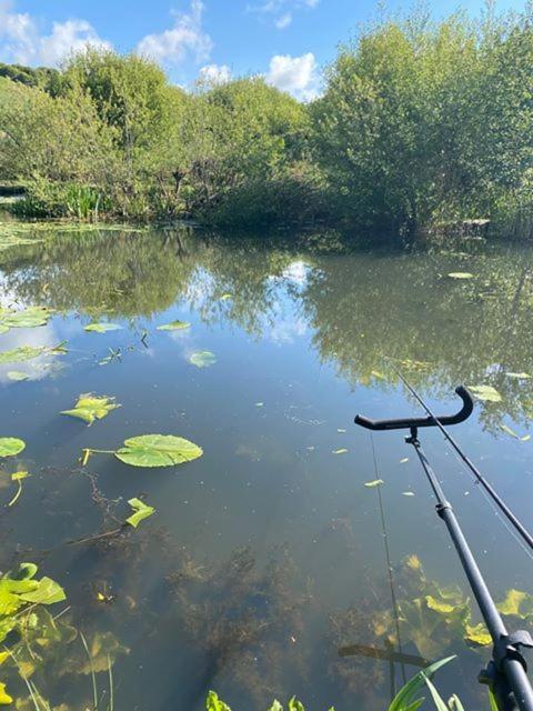 Marsh Water Ponds Fishery Villa Kidwelly Dış mekan fotoğraf