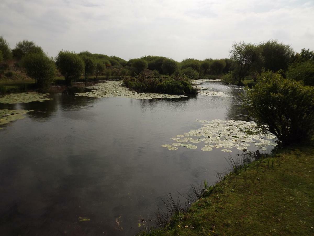 Marsh Water Ponds Fishery Villa Kidwelly Dış mekan fotoğraf