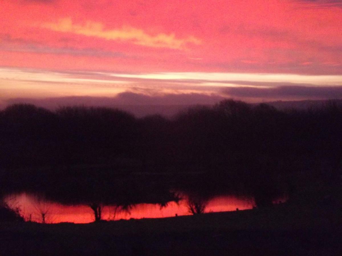 Marsh Water Ponds Fishery Villa Kidwelly Dış mekan fotoğraf