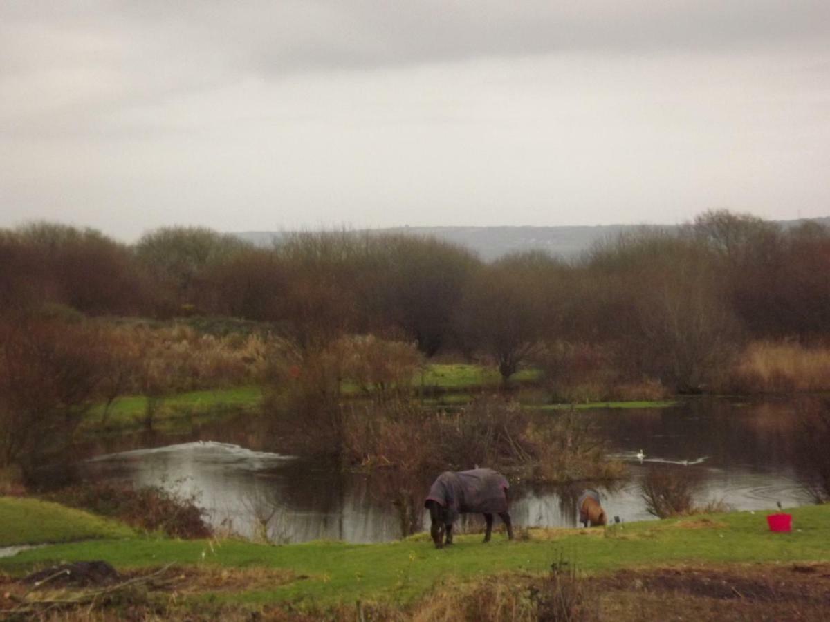Marsh Water Ponds Fishery Villa Kidwelly Dış mekan fotoğraf