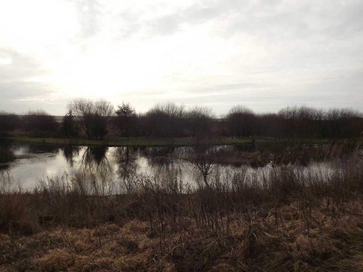 Marsh Water Ponds Fishery Villa Kidwelly Dış mekan fotoğraf