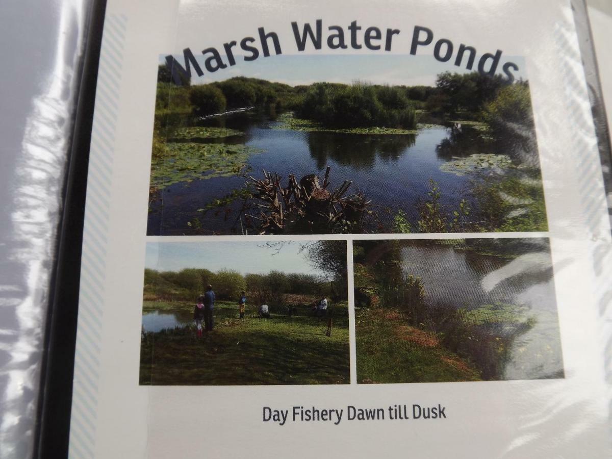 Marsh Water Ponds Fishery Villa Kidwelly Dış mekan fotoğraf